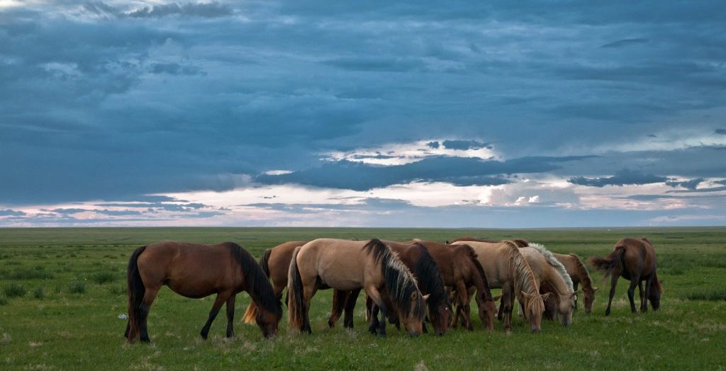 wisata alam di mongolia