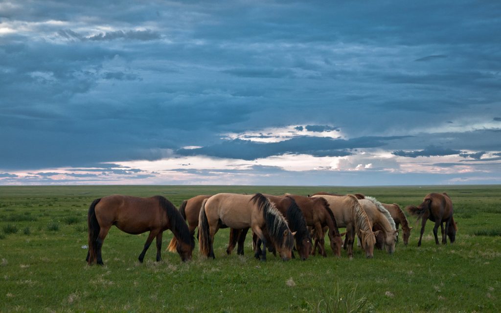 wisata alam di mongolia