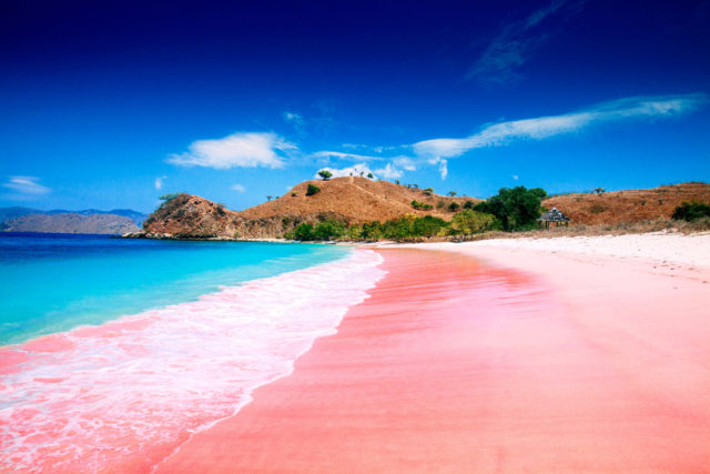11 Wisata Keajaiban Alam Berwarna Pink, Mulai Laguna Hingga Lembah