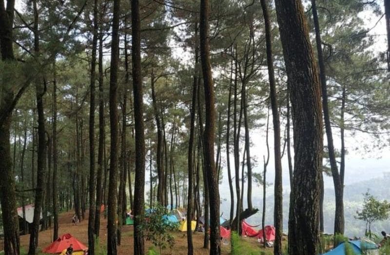 10 Tempat Camping di Bogor Dengan Pemandangan Keren!