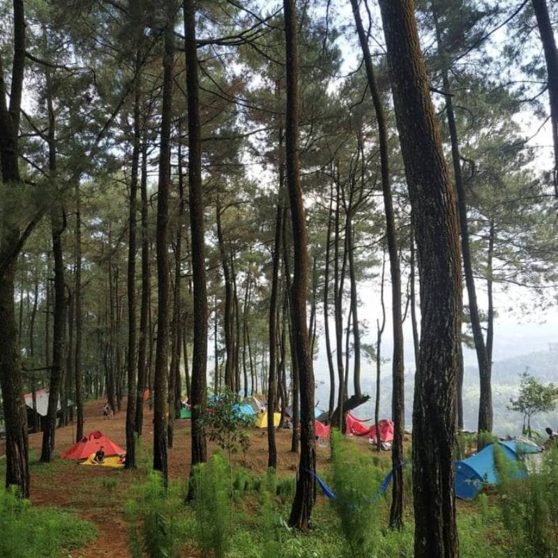 10 Tempat Camping di Bogor Dengan Pemandangan Keren!