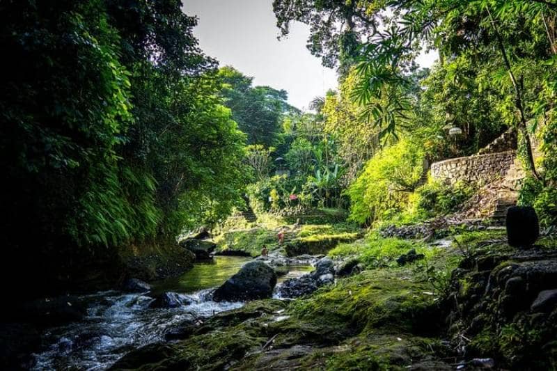 Sungai Ayung, Bali, Indonesia