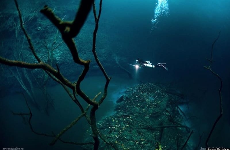 Keberadaan sungai bawah laut di Cenote Angelita, Mexico