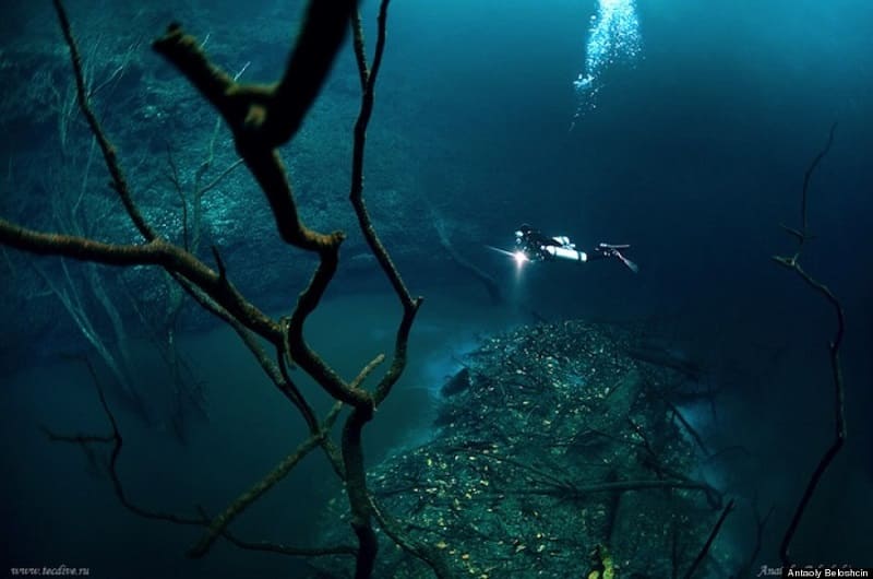 Keberadaan sungai bawah laut di Cenote Angelita, Mexico