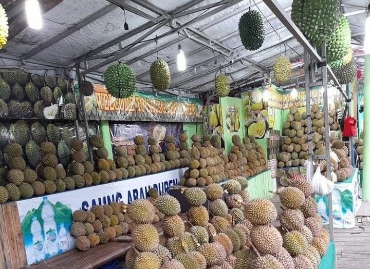 5 Spot Makan Durian di Lampung, Awas Kalap!